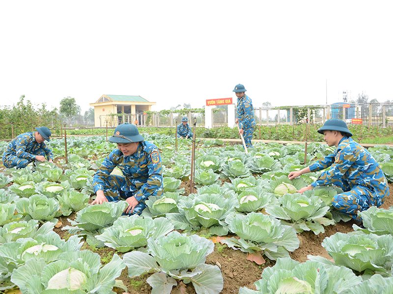Tăng gia tr&ecirc;n miền đất c&aacute;t