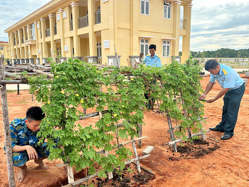 Màu xanh trên vùng đất mới