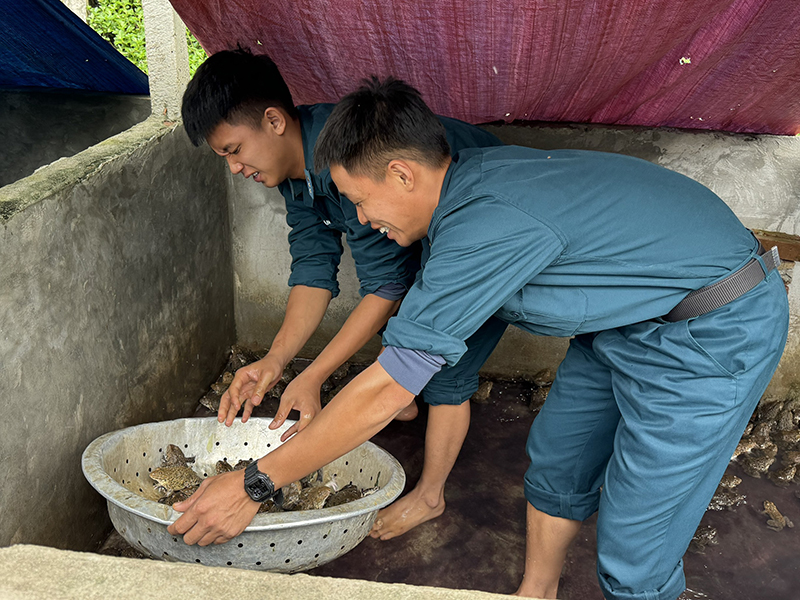 Trung đoàn 250 nâng cao chất lượng chăm sóc, nuôi dưỡng bộ đội