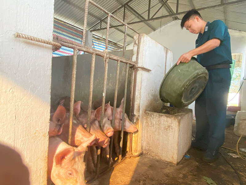 Tăng gia chăn nuôi trên đồi cao