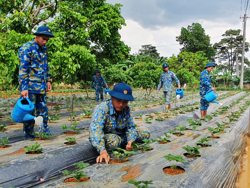 Khắc phục khó khăn, tăng gia, chăn nuôi tốt