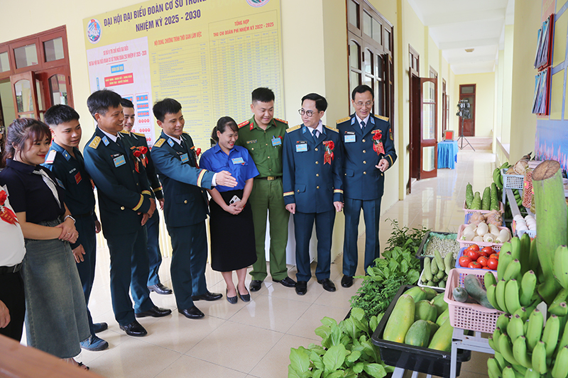 Đoàn cơ sở Trung đoàn 250 tổ chức Đại hội đại biểu Đoàn Thanh niên Cộng sản Hồ Chí Minh nhiệm kỳ 2025-2030