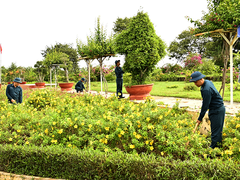 “Có sức người sỏi đá cũng đơm hoa”