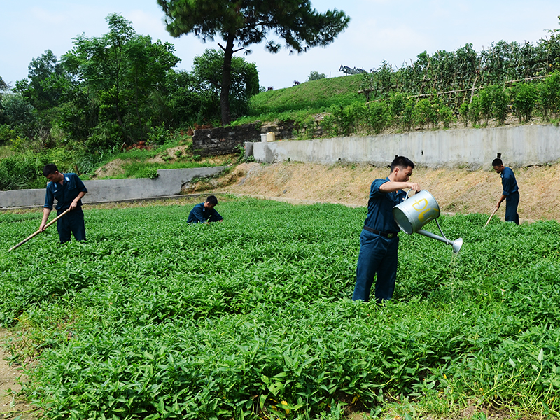 Trung đoàn 213 bảo đảm tốt hậu cần cho các nhiệm vụ