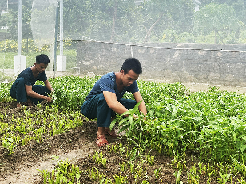 “Thực túc binh cường” nơi đảo xa