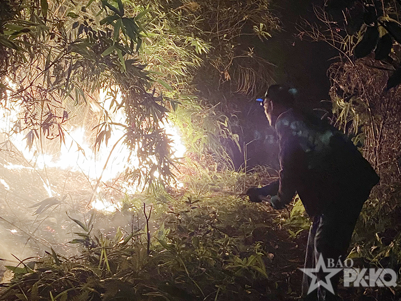 C&aacute;n bộ, chiến sĩ Trung đo&agrave;n 238 phối hợp c&ugrave;ng c&aacute;c lực lượng gi&uacute;p d&acirc;n dập tắt đ&aacute;m ch&aacute;y rừng