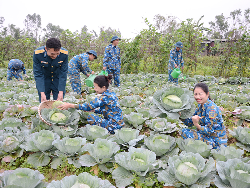 Tăng gia giỏi ở Tiểu đoàn Căn cứ Sân bay Vinh