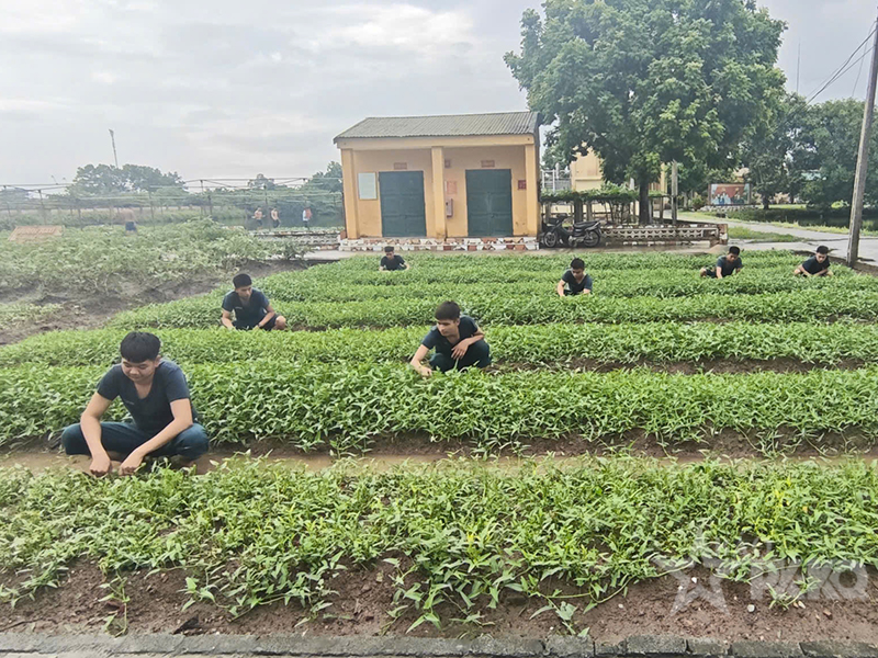 Đưa c&ocirc;ng t&aacute;c tăng gia, chăn nu&ocirc;i ph&aacute;t triển bền vững