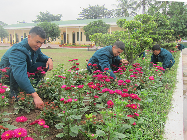 Ngày đầu năm ở Trung đoàn 240
