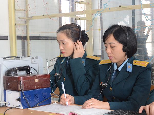 Những bông hoa ở Sở chỉ huy ngày Tết