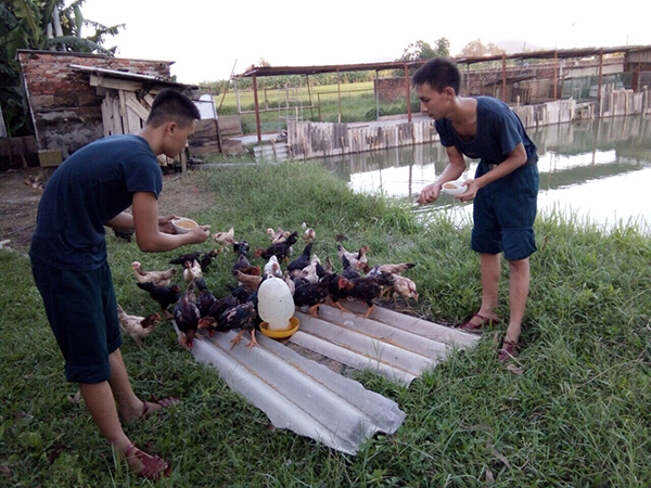 Tiểu đoàn 11, Phòng Tham mưu Sư đoàn 363: Đẩy mạnh tăng gia, bảo đảm tốt đời sống bộ đội