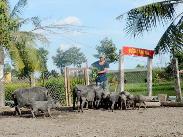 Tăng gia sản xuất ở Trạm Ra đa 50