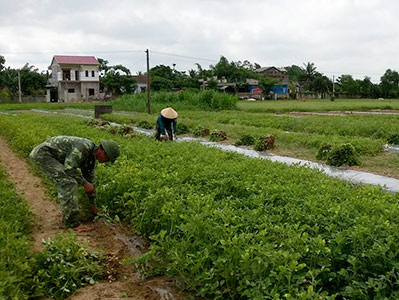 Tháng Năm quê nhà