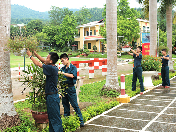 Trung đoàn 250 tích cực xây dựng môi trường xanh, sạch, đẹp