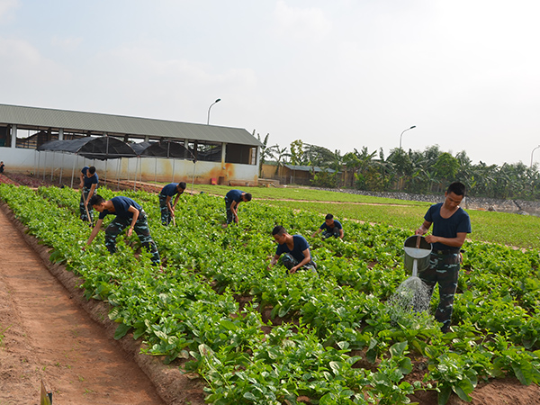 Tăng gia chăn nuôi giỏi ở Đại đội 72