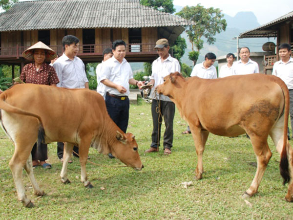 Đợt sinh hoạt chính trị sâu rộng