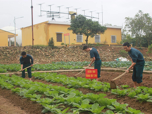 Tăng gia, chăn nuôi trên đồi cao