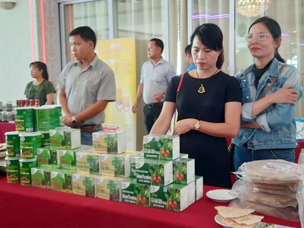 Nữ quân nhân làm kinh tế giỏi