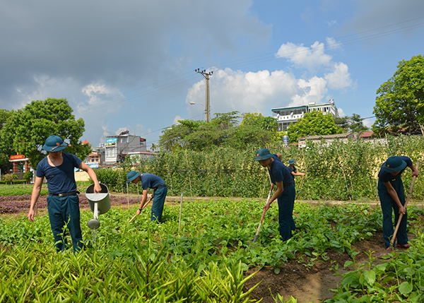 Thành công với quy mô tăng gia nhỏ