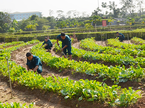 “Thực túc, binh cường” ở Sư đoàn 361