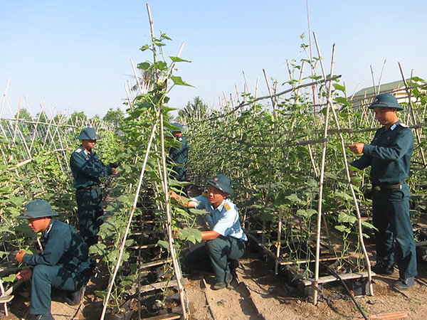 Canh trời Xuân trên bán đảo