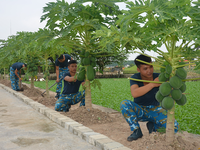 Lính “nuôi quân” ở Trung đoàn 218
