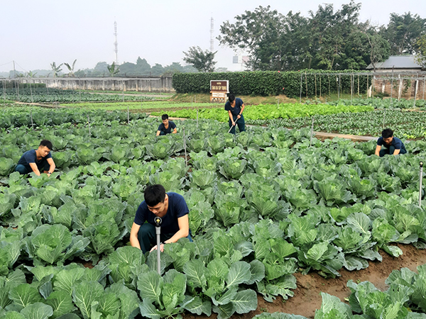 Điểm sáng trong công tác tăng gia sản xuất
