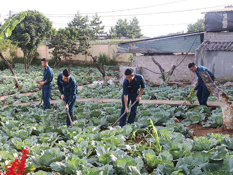 Tăng gia ở Trạm Ra đa 35