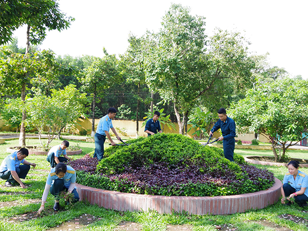 Xây dựng cảnh quan môi trường xanh, sạch, đẹp