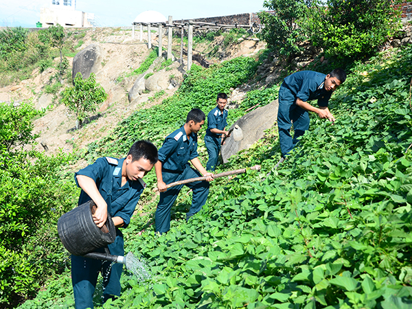 Tăng gia trên đỉnh Sơn Trà