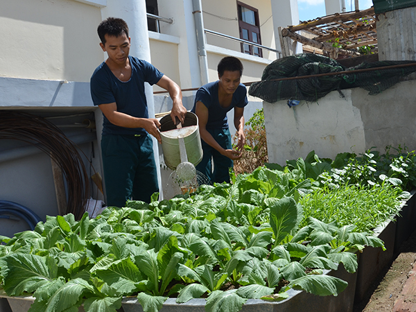 Trong mặn mòi gió muối