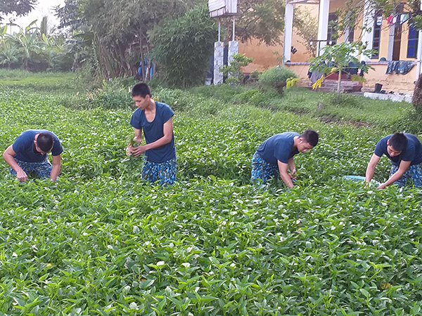 Chuyện “thực túc” của bộ đội “sáu mươi”