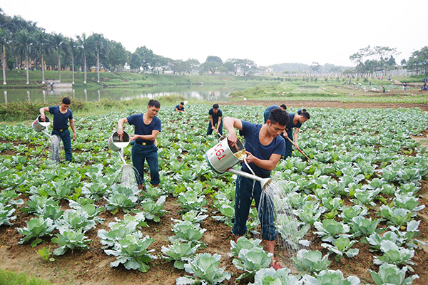 Đẩy mạnh tăng gia, chăn nuôi ở Tiểu đoàn 6, Học viện PK-KQ