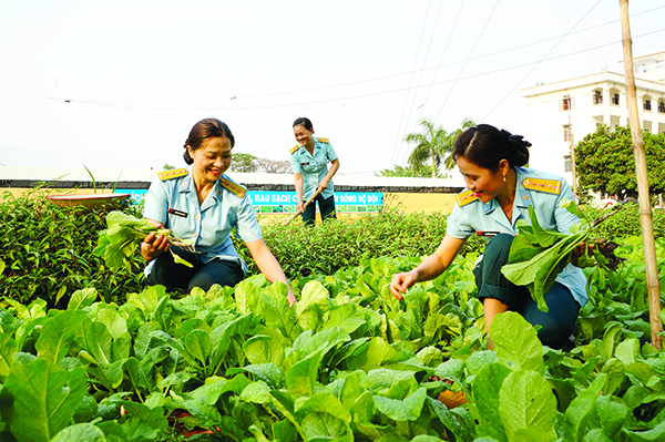 Hiệu quả phong trào phụ nữ ở Trung đoàn 294