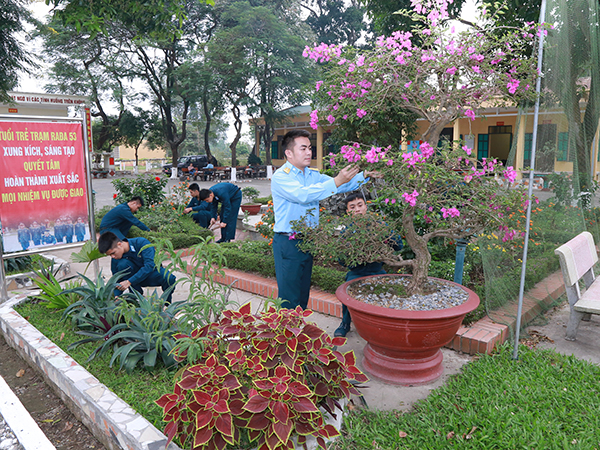 Không gian xanh của bộ đội “năm ba”