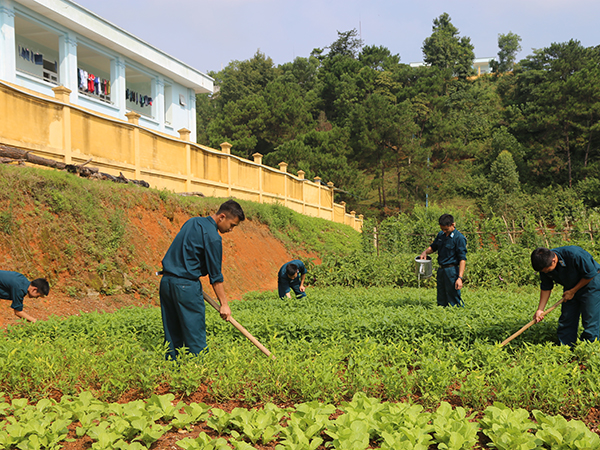 Phát huy tốt công tác tăng gia, chăn nuôi