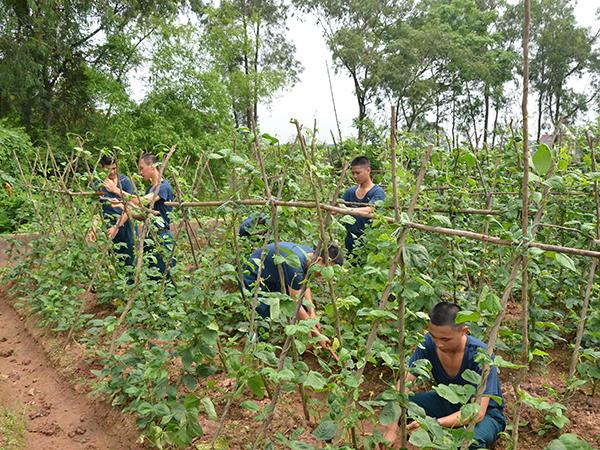 bao-dam-chat-luong-hieu-qua-cong-tac-quan-nhu-o-su-doan-365