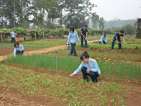 trung-doan-916-bao-dam-tot-che-do-nuoi-duong-bo-doi