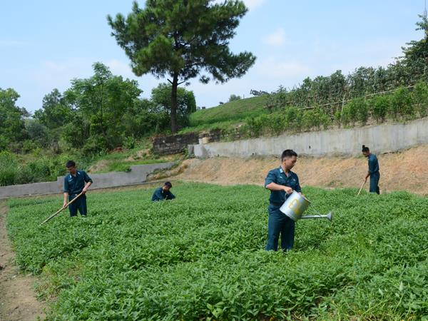 bao-dam-tot-hau-can-cho-cac-hoat-dong-cua-quan-chung-phong-khong-khong-quan