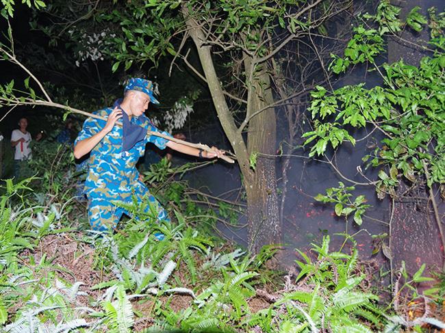 can-bo-chien-si-su-doan-371-giup-dan-chua-chay-rung