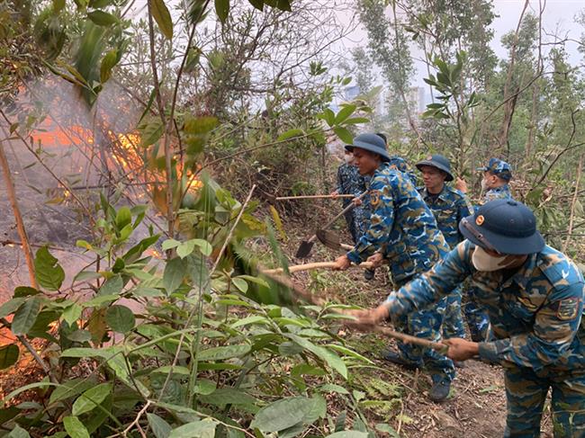 can-bo-chien-si-trung-doan-213-giup-nhan-dan-phuong-bai-chay-tp-ha-long-tinh-quang-ninh-chua-chay-rung
