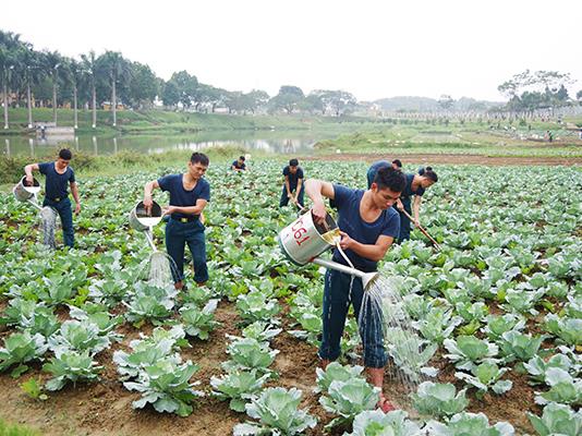 tieu-doan-6-hoc-vien-pk-kq-day-manh-tang-gia-chan-nuoi