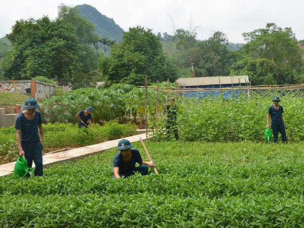 diem-sang-ve-cong-tac-hau-can