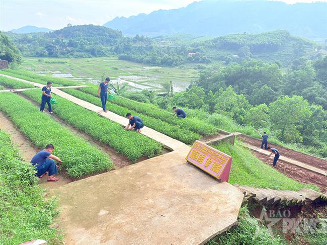 lam-theo-loi-bac-nang-cao-chat-luong-cong-tac-hau-can-quan-chung