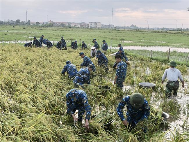can-bo-chien-si-kho-k312-giup-dan-phuong-trung-hung-thi-xa-son-tay-ha-noi-gat-lua-sau-bao
