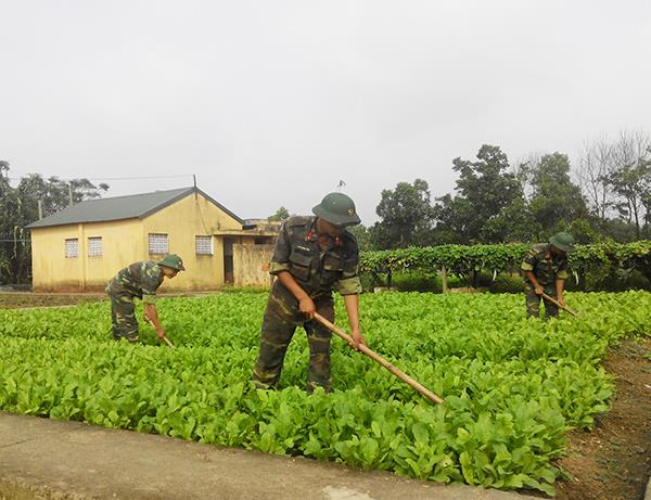 lu-doan-phong-khong-210-day-manh-tang-gia-san-xuat-bao-dam-tot-doi-song-bo-doi