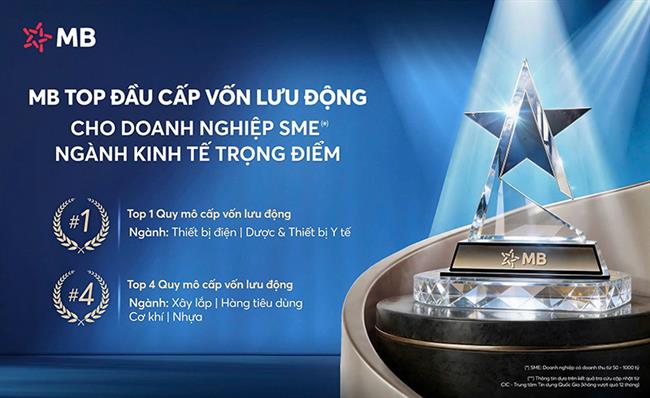 mb-ngan-hang-top-dau-quy-mo-du-no-cho-vay-ngan-han-doi-voi-doanh-nghiep-sme-thuoc-nganh-kinh-te-trong-diem