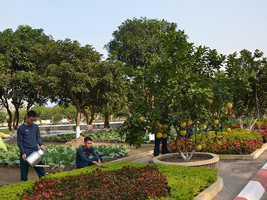 net-dep-van-hoa-o-doan-thanh-to