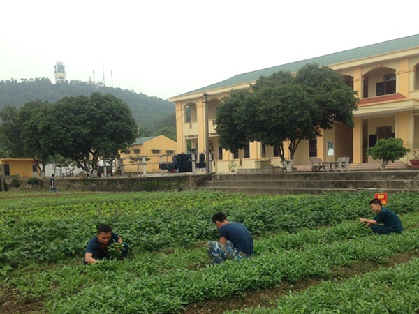 nganh-hau-can-su-doan-363-bao-dam-tot-doi-song-bo-doi