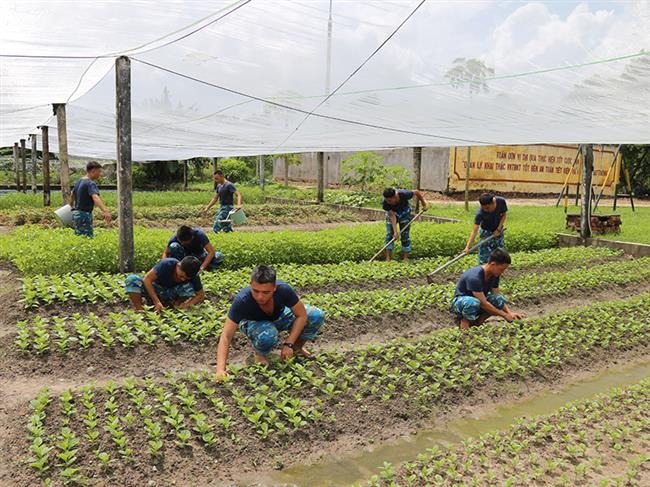 nganh-hau-can-su-doan-367-lam-theo-loi-bac